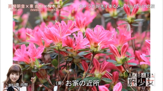 mm150531-0058130143
