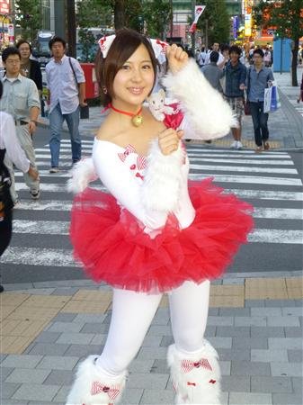 ido12100305120000-p4