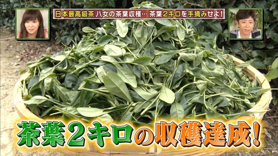 mm160708-0150170454