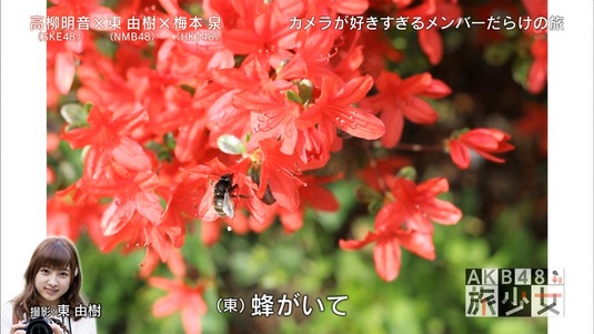mm150531-0058180097