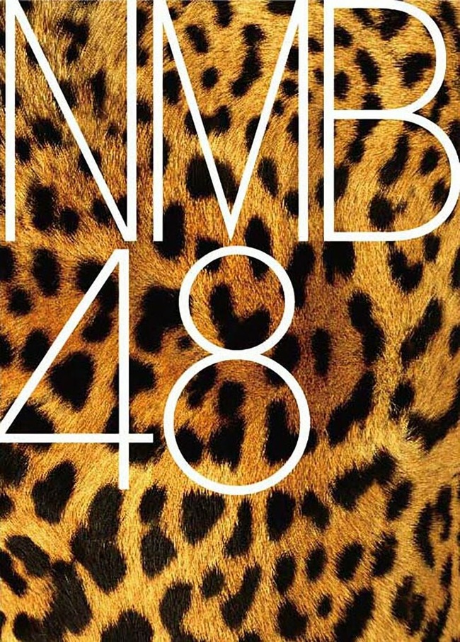 800px-NMB48ロゴ