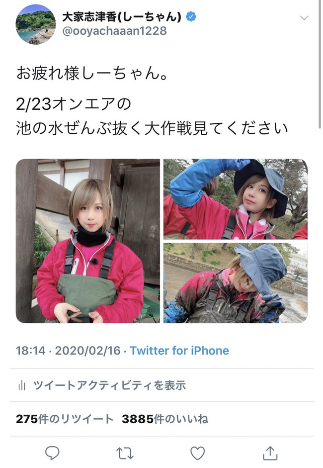31b359cd
