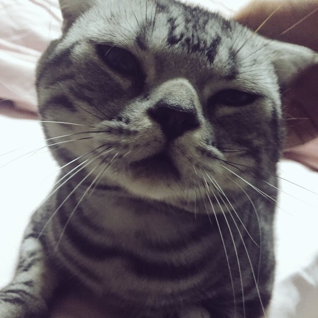 CpRAxOKVYAExXBQ