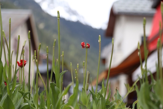 photo (6)