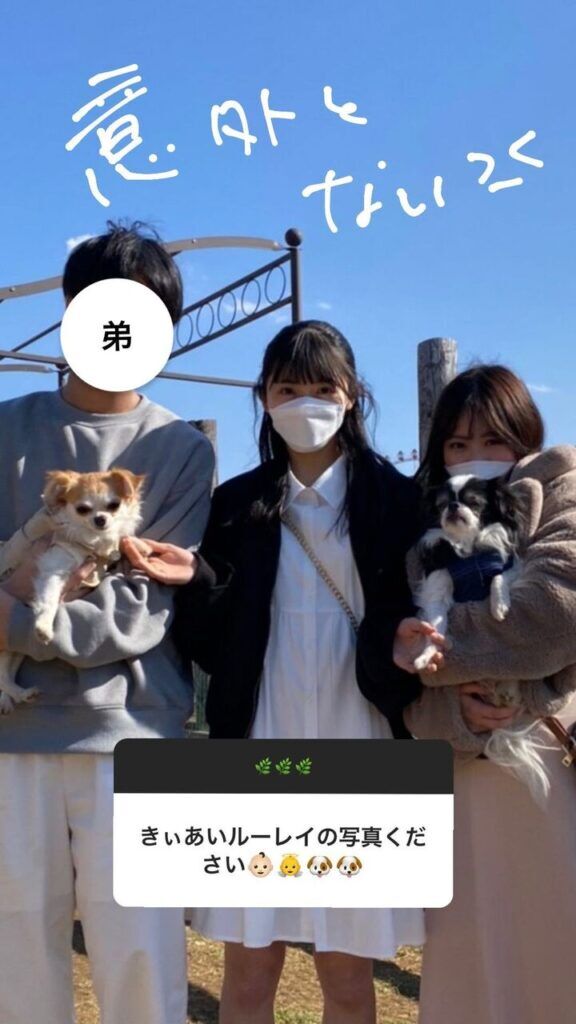 e9b223b2