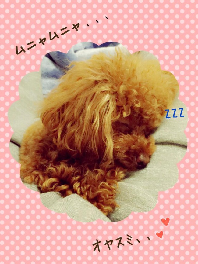 CCuW1m6UkAE1a4L