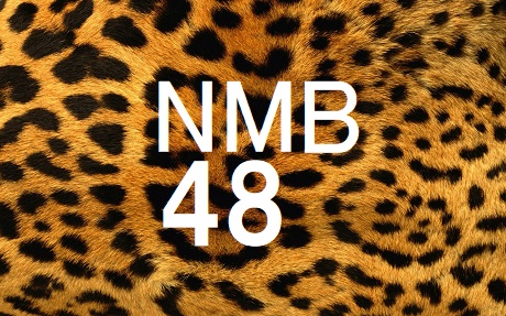 nmb48_logo_20201003