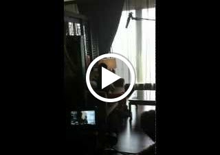 mov