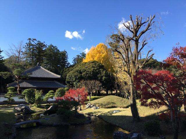 o0640048013502582896