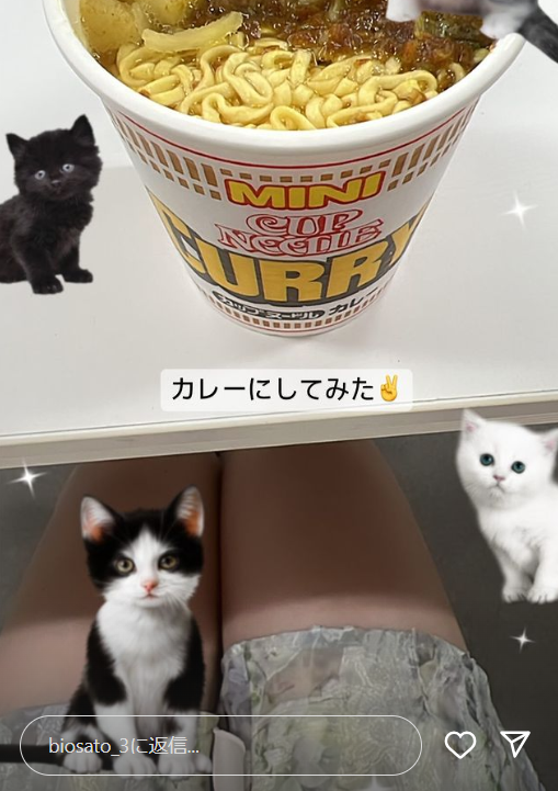 スクリーンショット 2024-06-17 042135