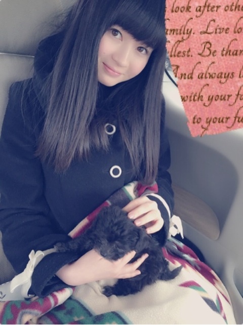 o0480064213195882065