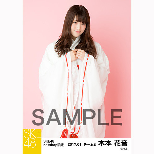 SK-126-1701-28025_p02_500