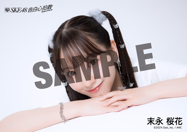ac1834b7506a8a25d0ec846b3f2c5d091151d266_66ed1e626d474