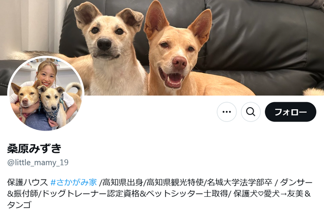 スクリーンショット 2024-11-23 003610