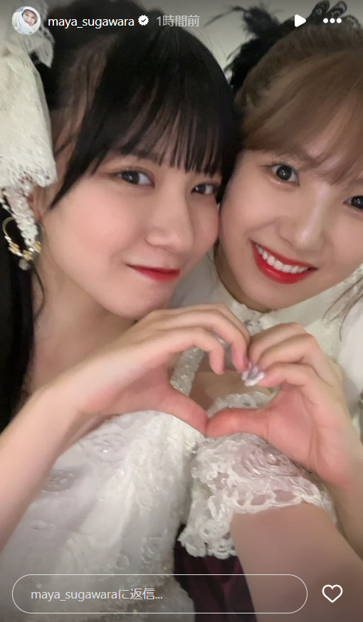 スクリーンショット 2024-09-16 005017