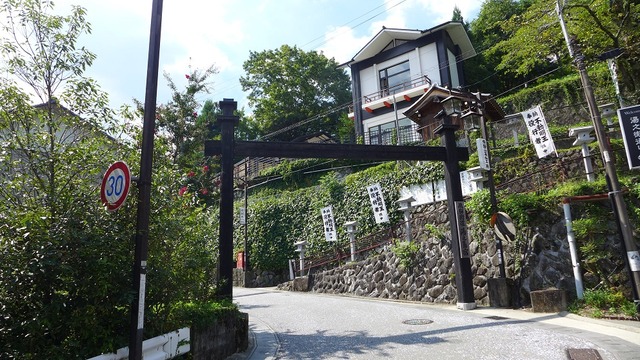 P1170248