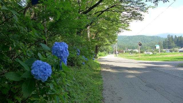 P1200109