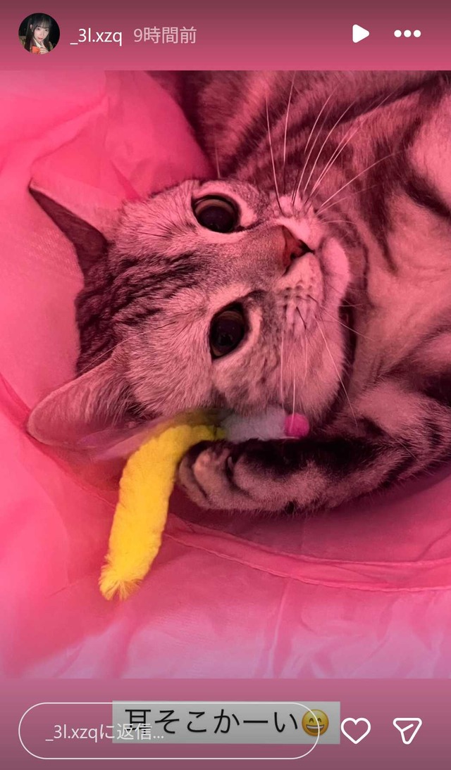 スクリーンショット 2025-12-11 003846a