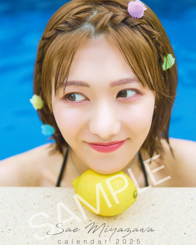 スクリーンショット 2024-09-27 010446