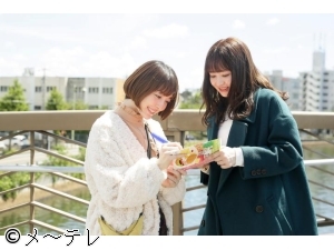 45fc49d045824fa2b1396f48096c0ea5