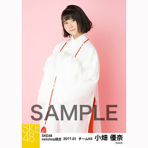 SK-126-1701-28009_p03_500