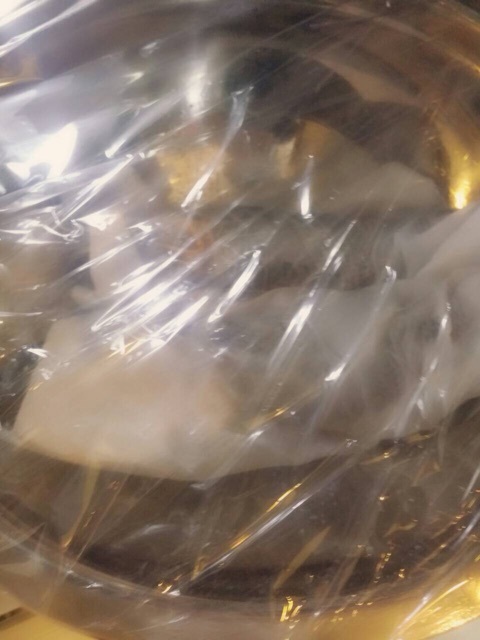 o0480064013364312644