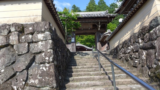 P1170312