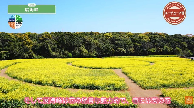 スクリーンショット 2025-11-22 023405