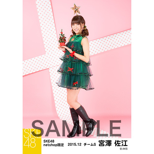 SK-126-1512-14357_p05_500