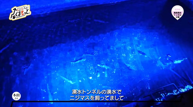 スクリーンショット 2025-12-04 042437