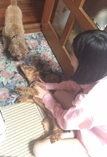 o0218032013364308255