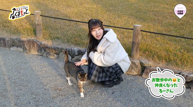 スクリーンショット 2026-02-14 041151