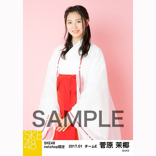 SK-126-1701-28032_p03_500