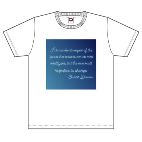 SK-146-1905-52040_p01_500