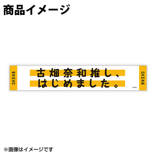 SK-132-1812-49374_p02_500