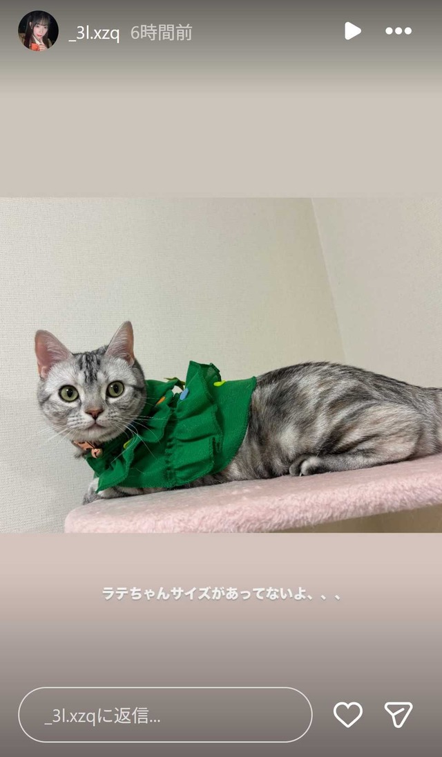 スクリーンショット 2025-12-26 010625