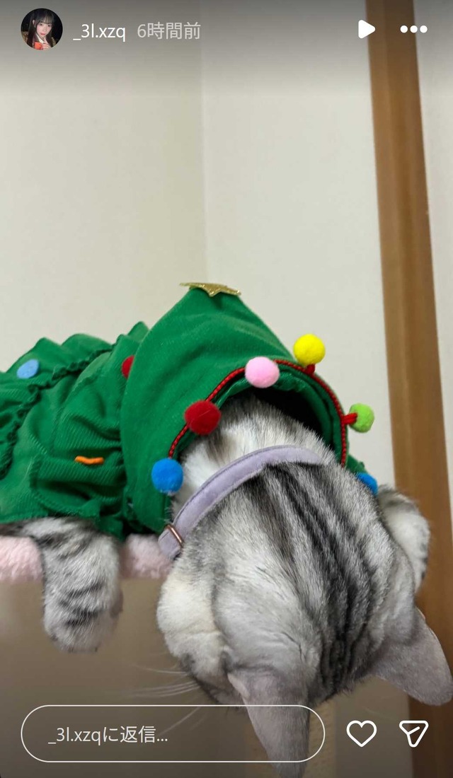 スクリーンショット 2025-12-26 010611