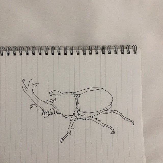 no title