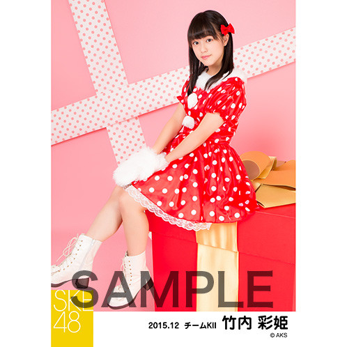 SK-126-1512-14307_p04_500