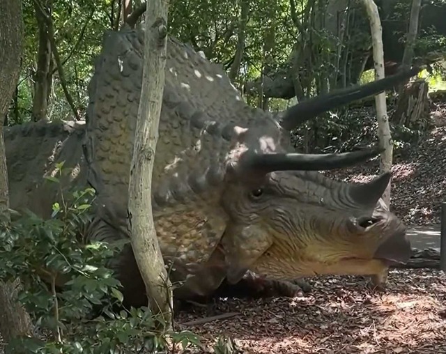 スクリーンショット 2025-10-30 225519