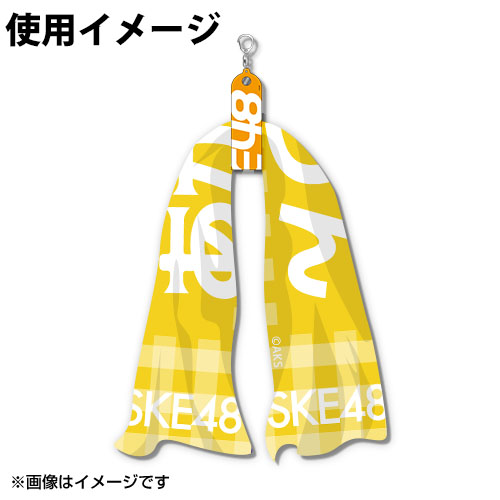 SK-132-1809-45865_p04_500