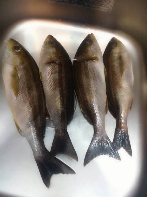 o0480064013364312666