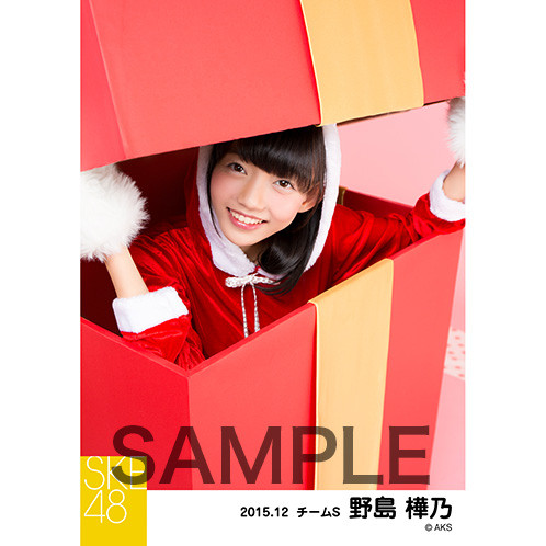 SK-126-1512-14285_p02_500