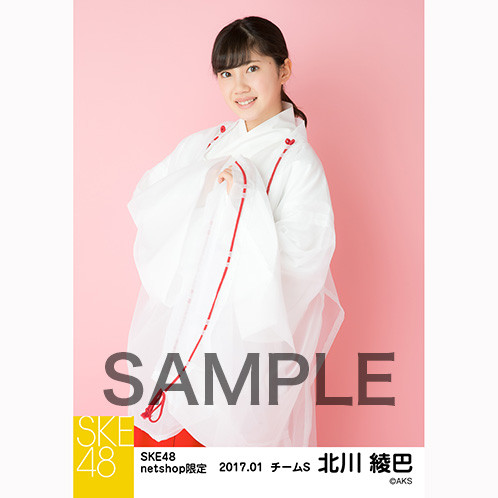 SK-126-1701-27988_p02_500