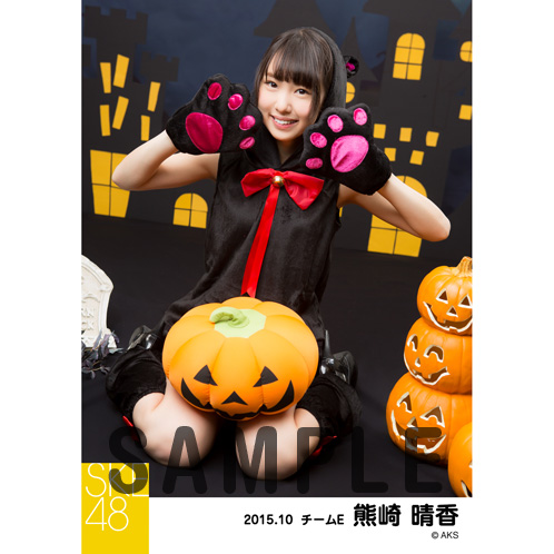 SK-126-1510-12313_p04_500