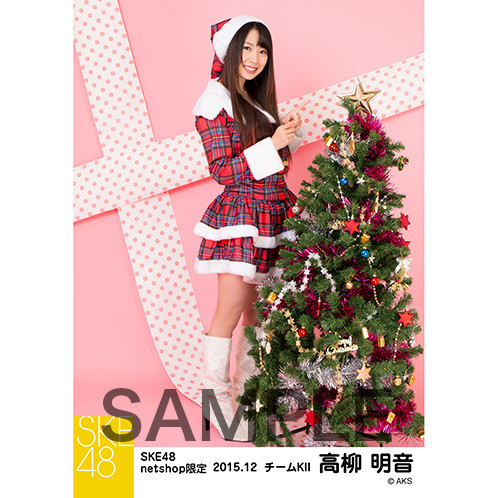 SK-126-1512-14374_p05_500