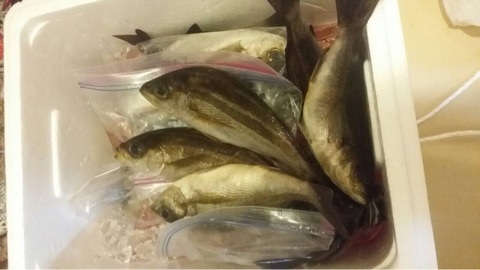 o0480027013364312605