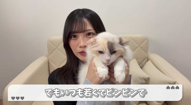 26