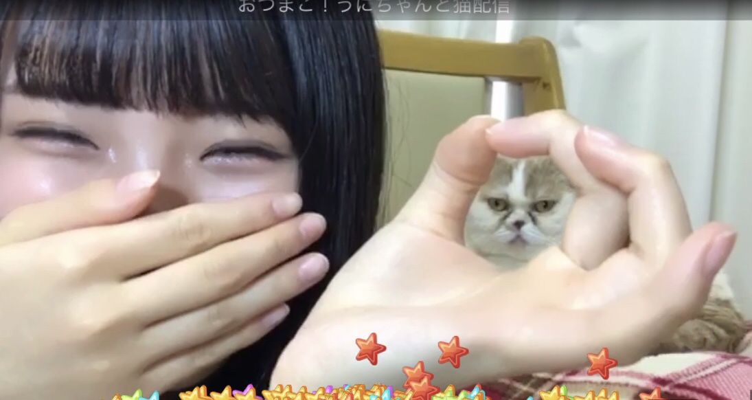 画像あり Ske48大橋真子ちゃんの飼い猫 うに はなぜ魔猫になったのか てきとーまとめ