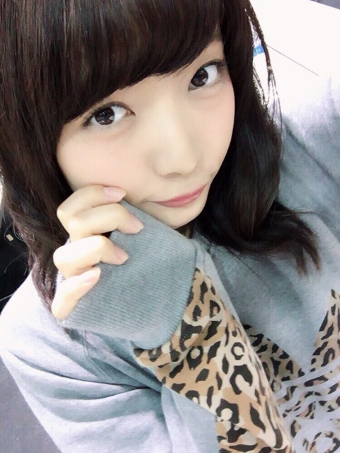 o0480064013510121519